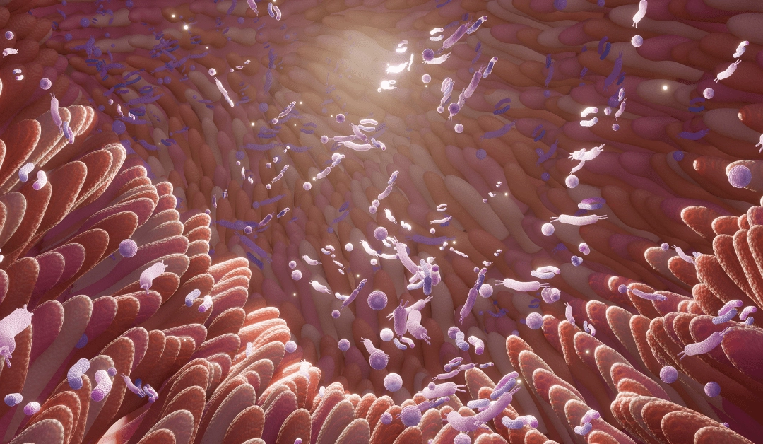 Does Weight Loss Really Change the Gut Microbiome? What New Research Reveals