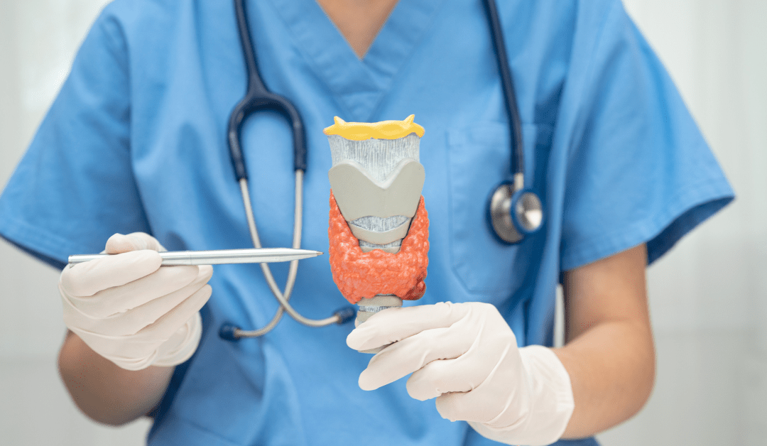 Thyroid Trouble? Here’s How to Spot the Hidden Signs and Reclaim Your Health