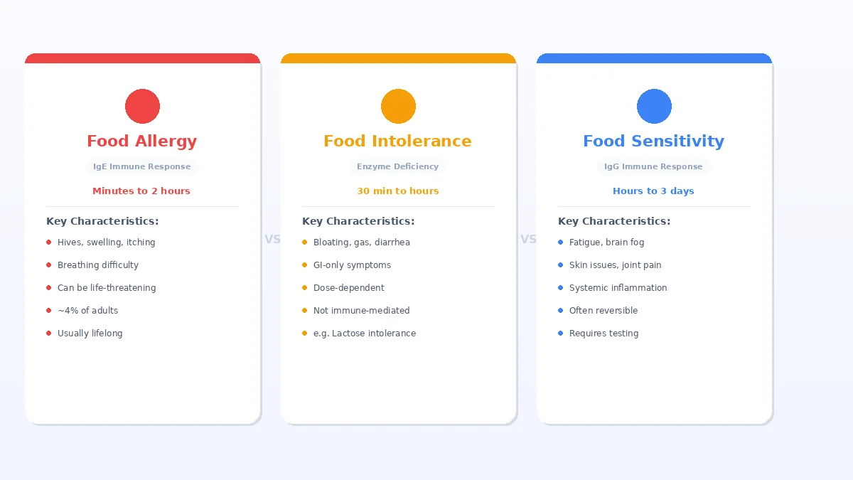 Food allergy vs food intolerance vs food sensitivity comparison chart showing IgE, enzyme, and IgG immune responses