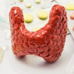 Is Armour Thyroid Being Discontinued? FDA Action Explained FDA Takes Action on Armour Thyroid What Patients Need to Know