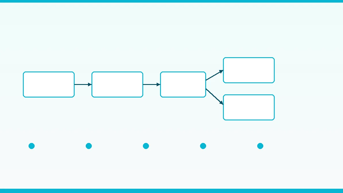 DHEA hormone conversion pathway from cholesterol to testosterone and estrogen