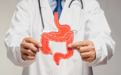 Comprehensive Gut Health Guide | 1st Optimal