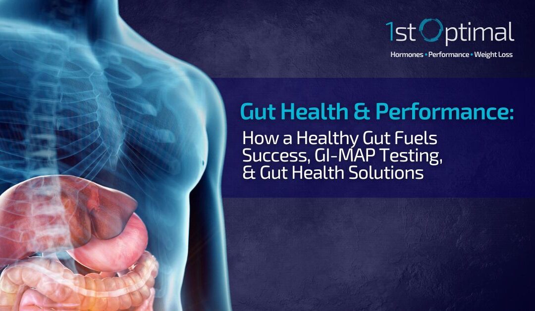 Gut Health and Performance: How a Healthy Gut Fuels Success