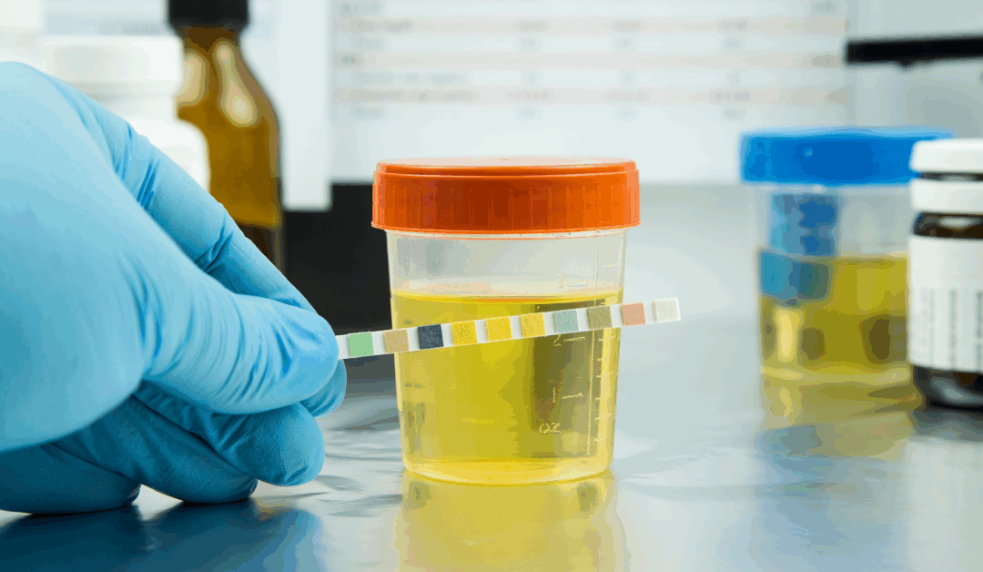 DUTCH Testing & the 1st Optimal Coaching Partnership: The Hormone Optimization Advantage for Coaches