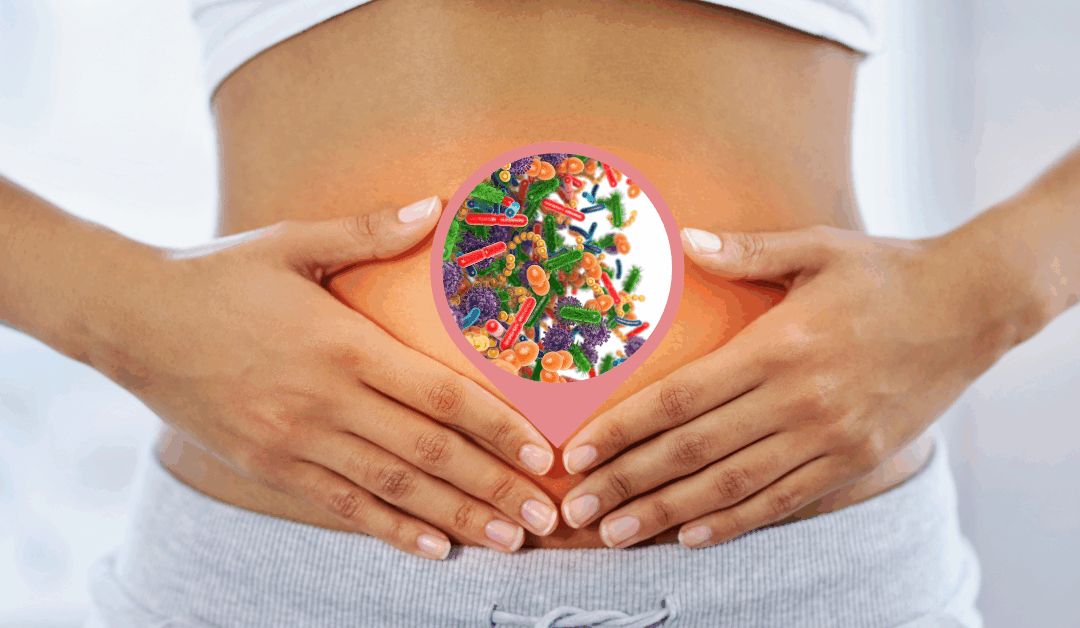 GI-MAP Gut Health Testing & Coaching Partnerships: How 1st Optimal Helps Coaches Fix Digestion, Boost Energy, and Transform Results