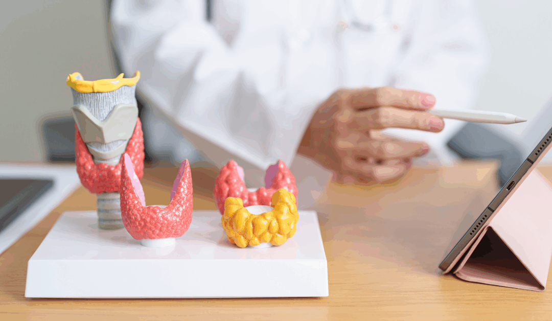 The 1st Optimal Coaching Partnership: How Coaches Can Integrate Thyroid Health Optimization Into Client Programs