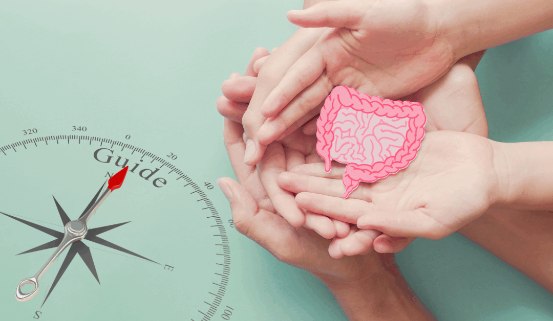 The Ultimate Guide to Restoring Gut Health: A Comprehensive Approach Using the 5R Treatment Protocol