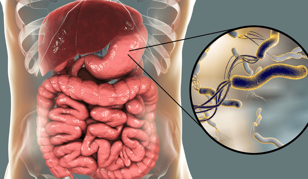 10 Common Signs of Parasite Overgrowth in the Body (2)