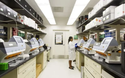 How to Read Your Blood Work Results Like a Pro