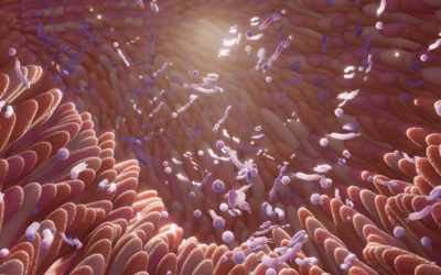 Does Weight Loss Really Change the Gut Microbiome? What New Research Reveals