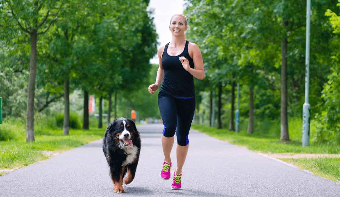 Postmenopausal Hormones: Helpful or Harmful? The New Science of Hormone Therapy for Women Over 40