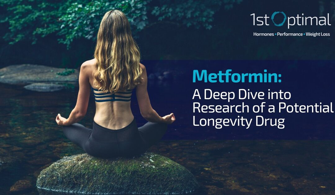 Metformin: A Deep Dive into Research of a Potential Longevity Drug