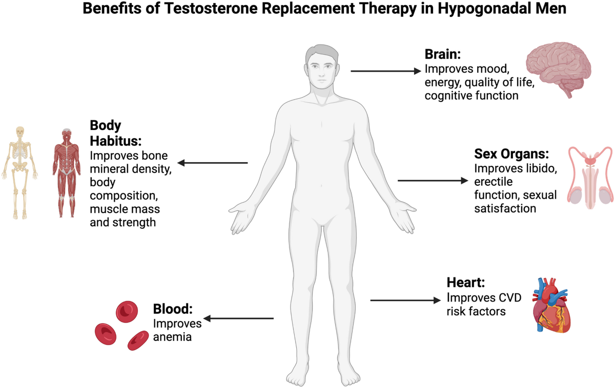 Benefits of TRT in Hypogonadal Men