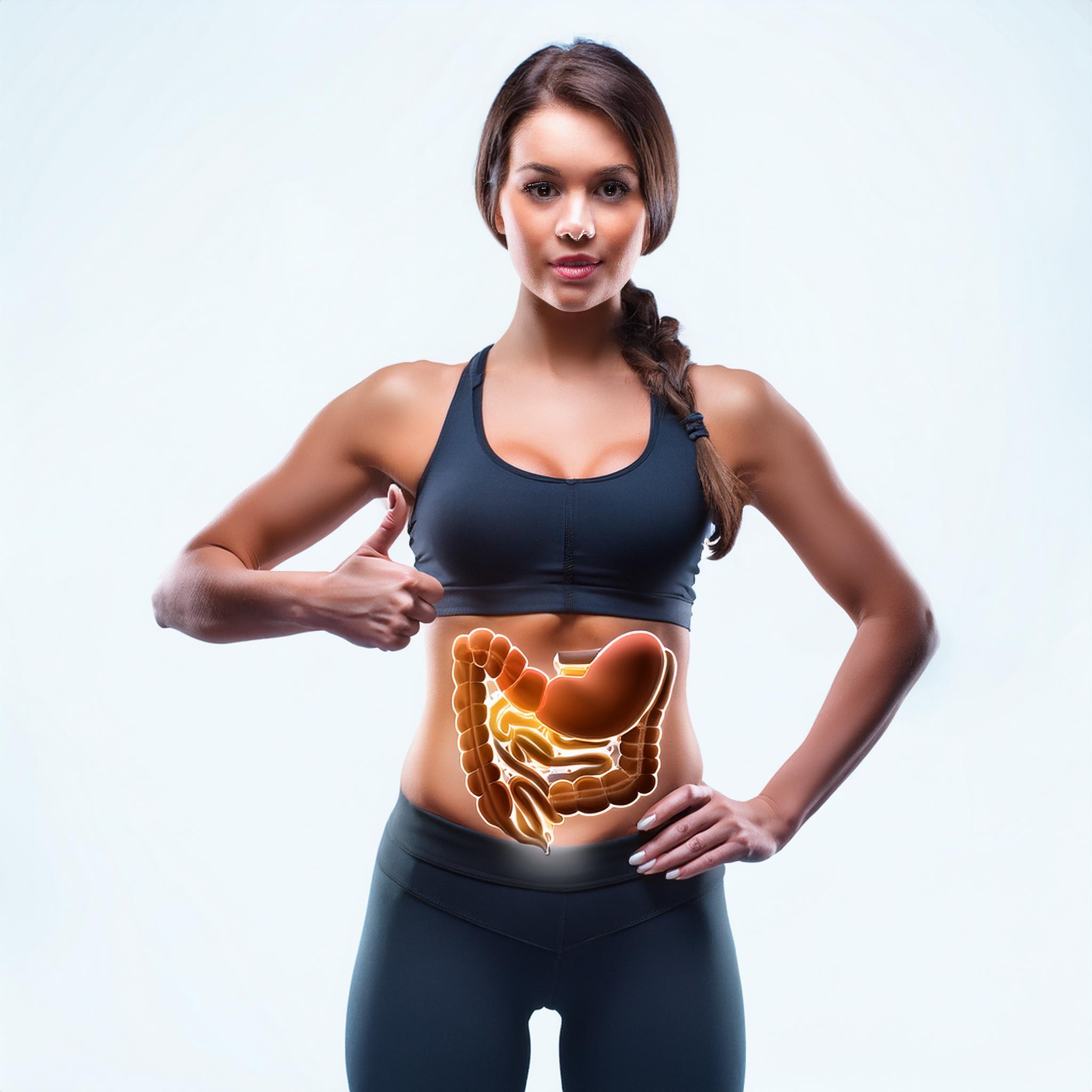 Gut Health and Performance