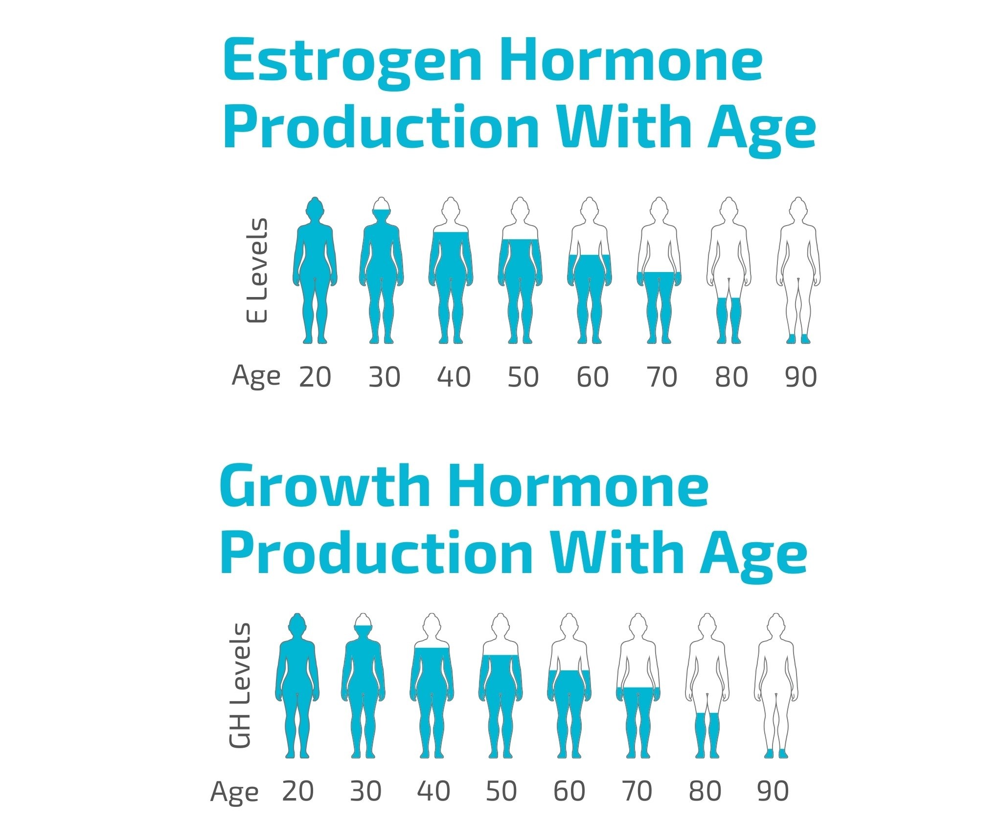 Female Hormone Production