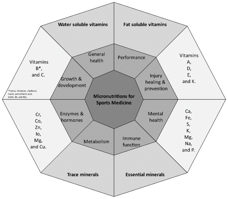 Model of micronutrient main functions in sports medicine