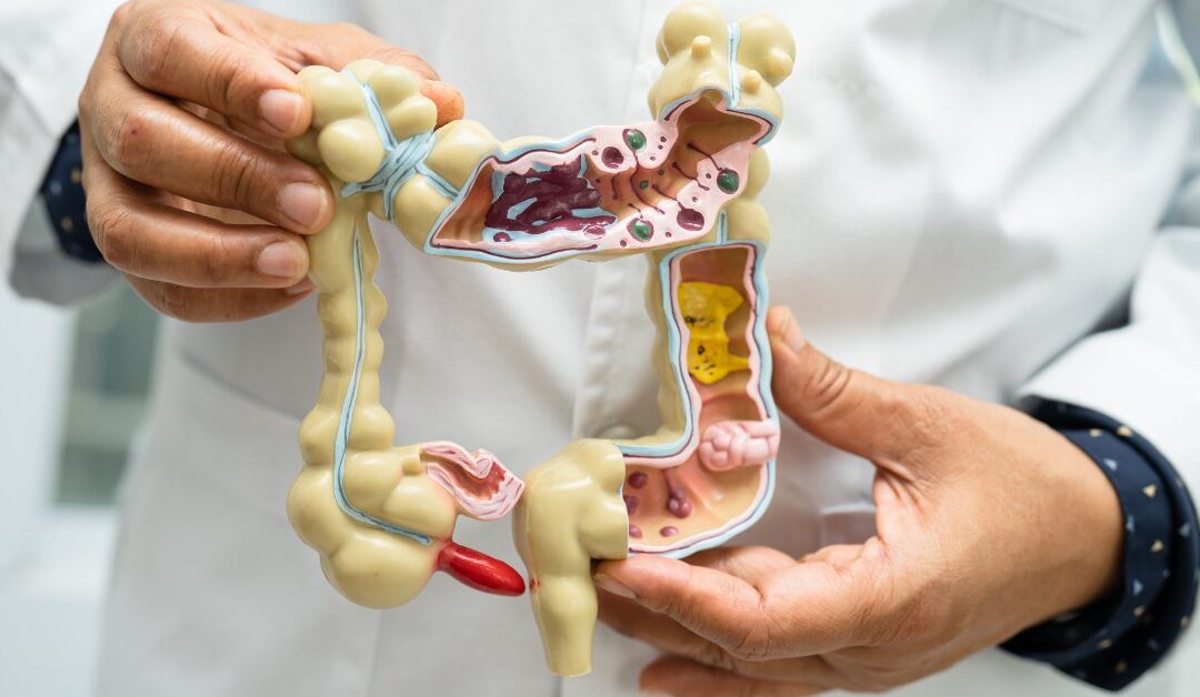 Peptide Therapies for Gut Health: How Peptides Improve Digestion, Inflammation, and Gut Function