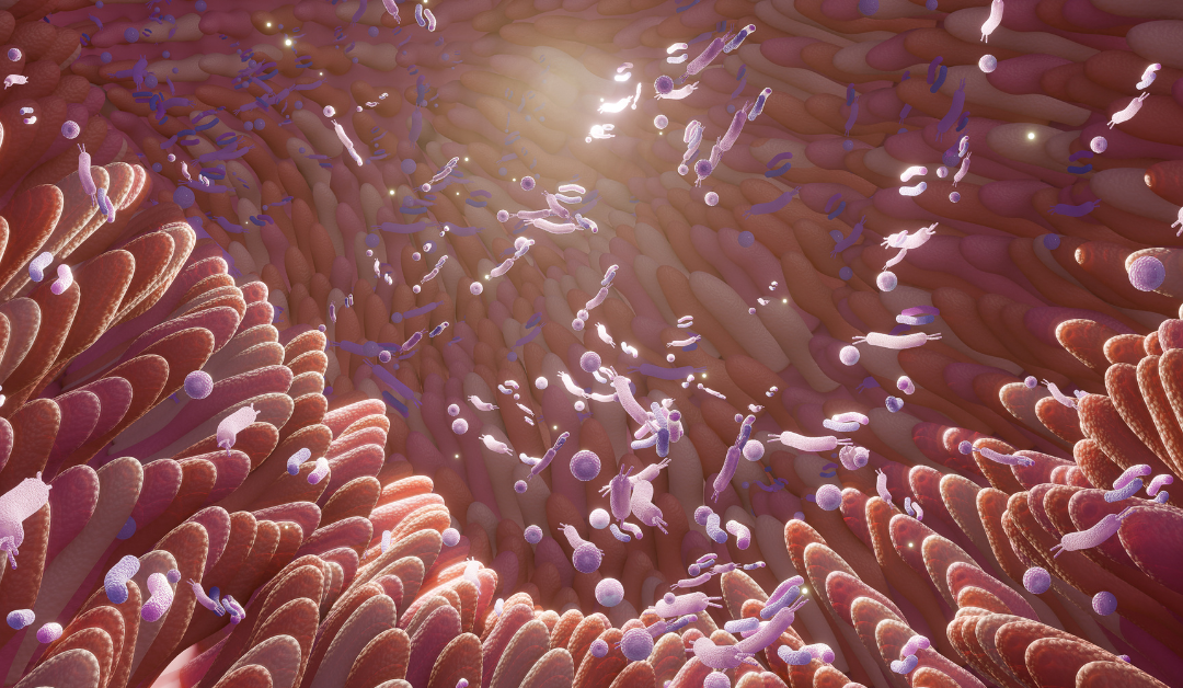 Does Weight Loss Really Change the Gut Microbiome? What New Research Reveals