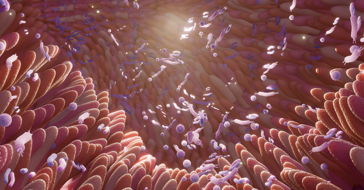 Does Weight Loss Really Change the Gut Microbiome? What New Research Reveals