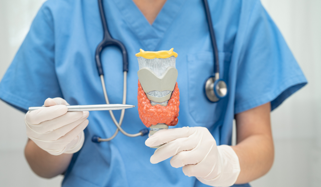 Thyroid Trouble? Here’s How to Spot the Hidden Signs and Reclaim Your Health