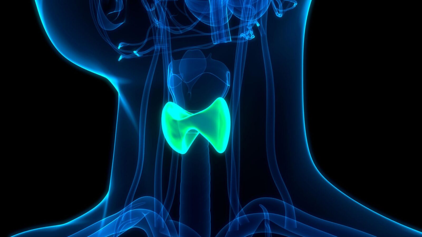 reverse-t3-thyroid-test-explained